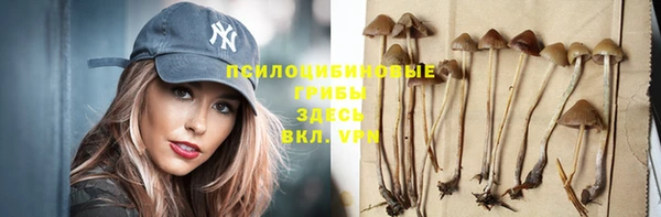 альфа пвп Володарск