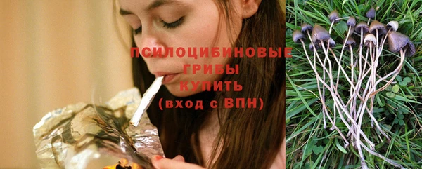сатива Волосово