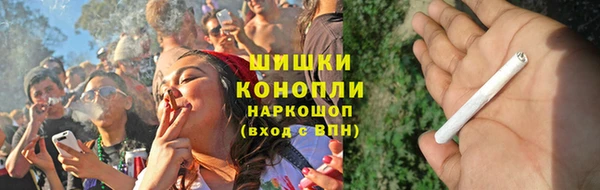 сатива Волосово