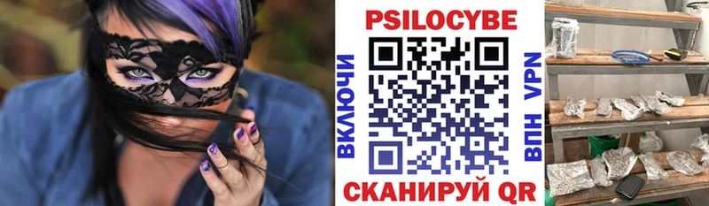 Псилоцибиновые грибы Psilocybe  Купить  Лысьва 